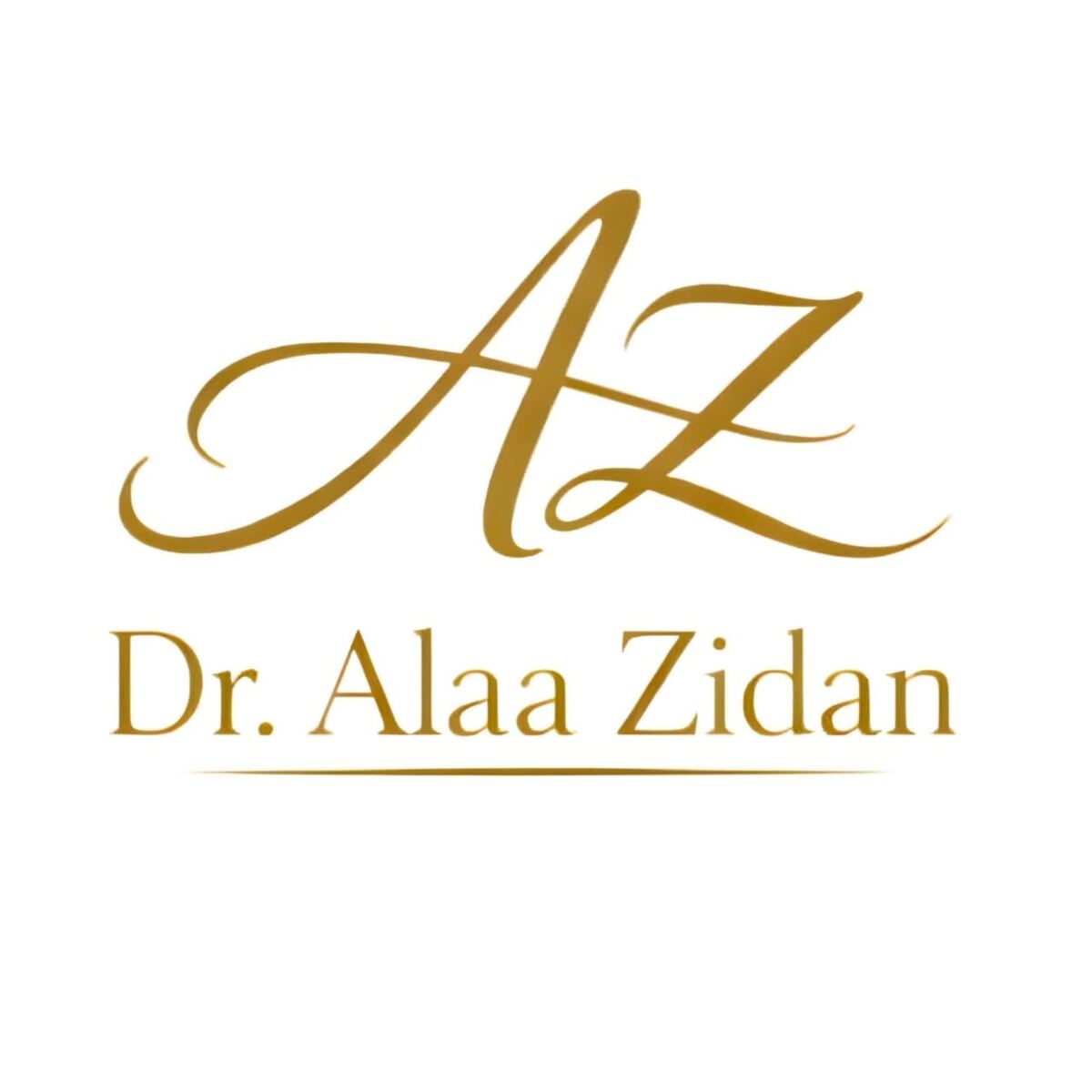 Dr. Alaa Zidan