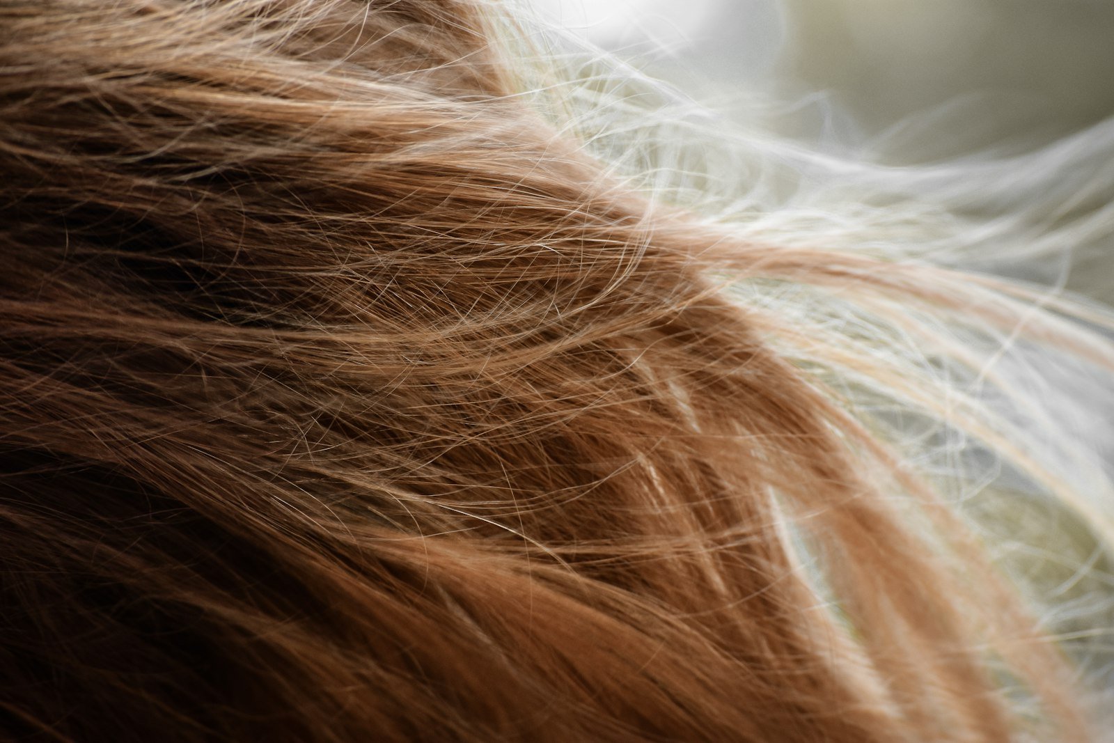 GFC vs PRP vs Exosomes for Hair: Choosing the Right Regenerative Treatment