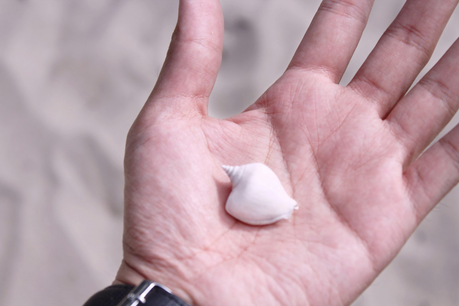 US Approves First New Sunscreen Ingredient in Decades